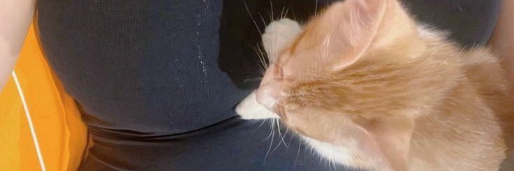 cindy bella's banner