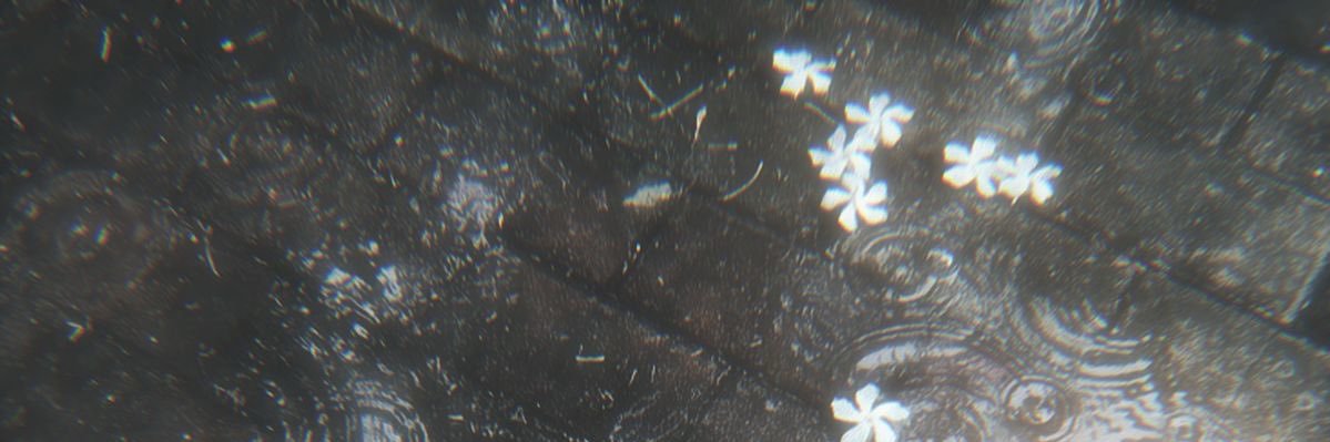 mimi ⋆𖦹⋆ˎˊ˗ saw bts x6's banner