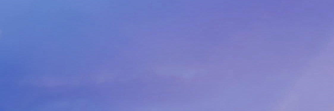 Nuve Garcia's banner