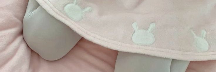 brii ^-^'s banner