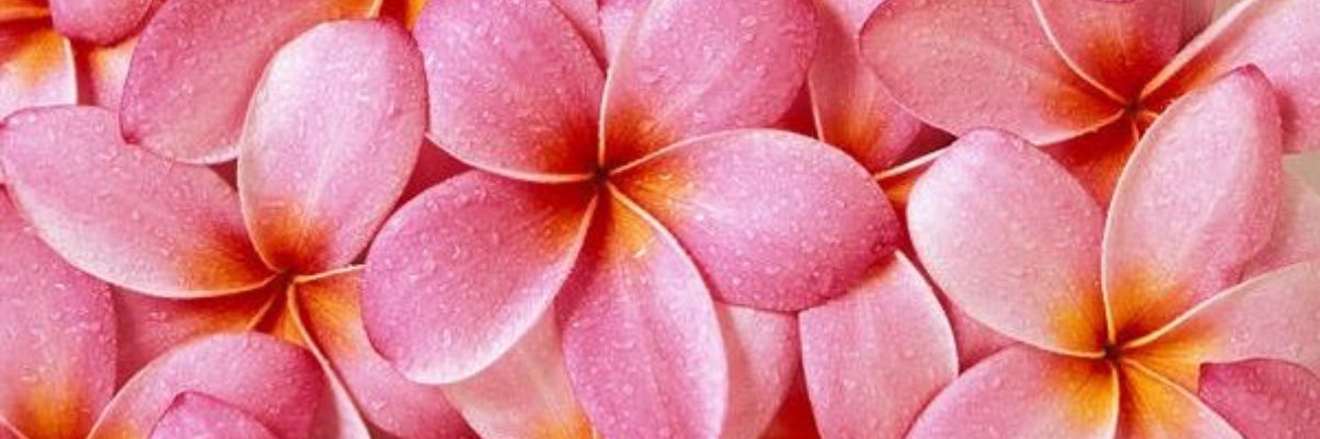 Leilani Lust's banner