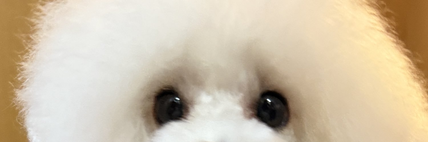 咲良菜緒（公式）'s banner