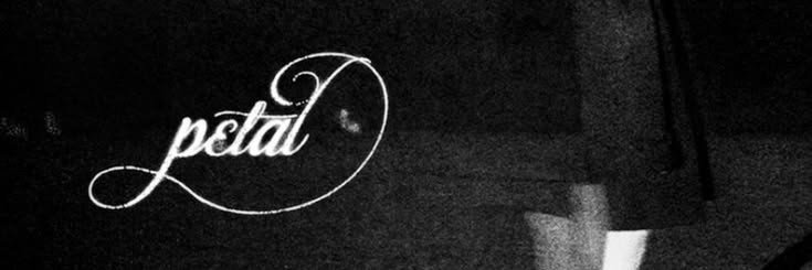 chris ꕤ's banner