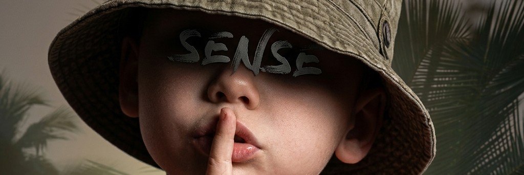 Sense's banner