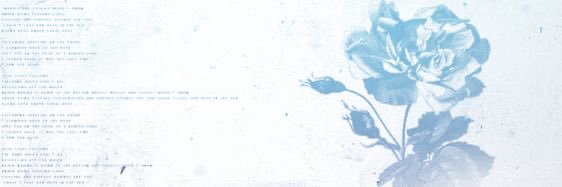 bianca's banner
