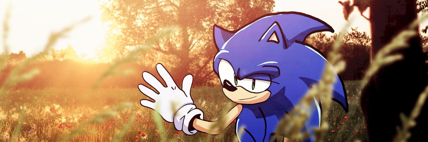 Sonic the Hedgehog (parody)'s banner