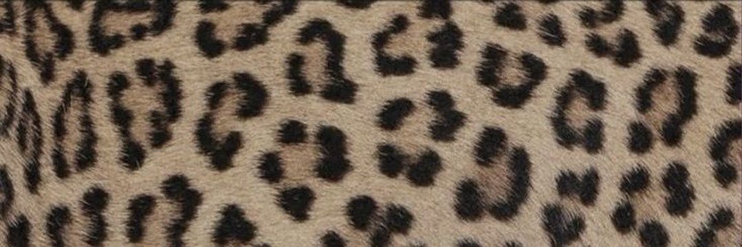 Kendra's banner