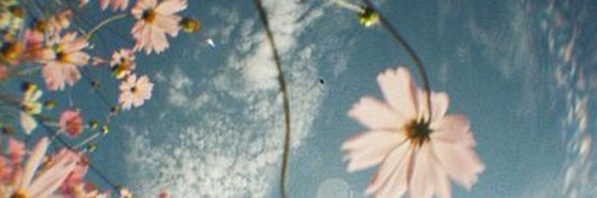 gracie ✨eternal sunshine✨'s banner
