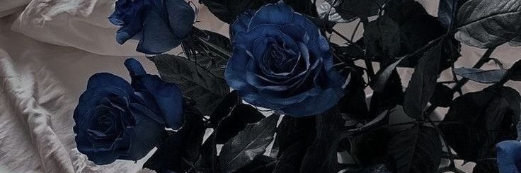 テオ's banner
