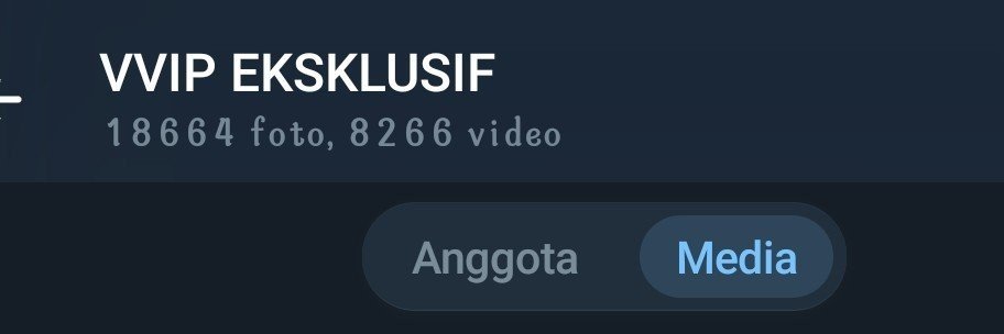 VIP.EKSKLUSIF's banner
