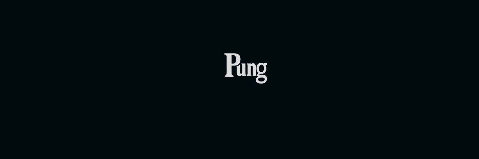Pung Media Kurdî's banner