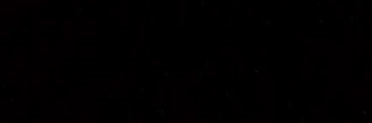 bre d brenda's banner