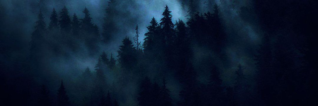 Синий Туман's banner