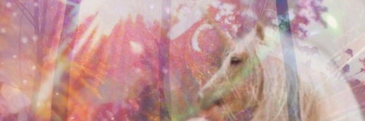 fairy 🪽's banner