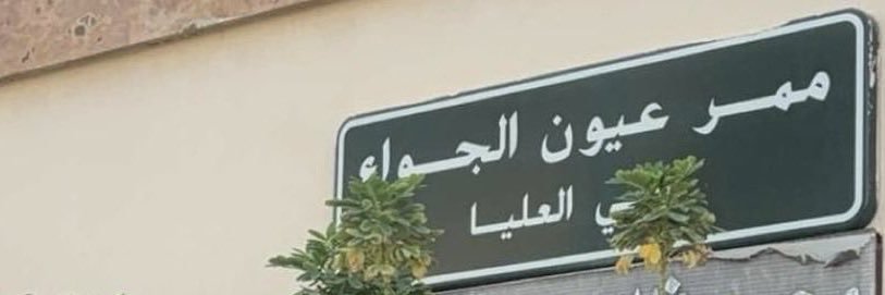 ضاري's banner
