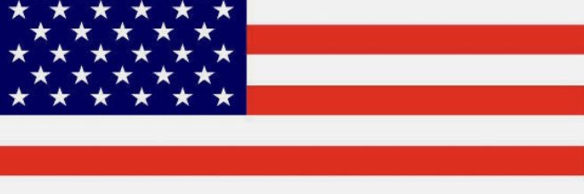The Right Wing Patriot's banner