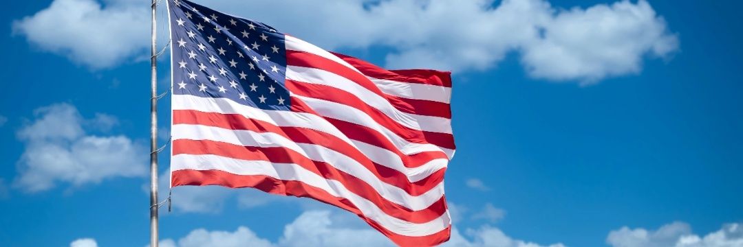 Teawithliberty's banner