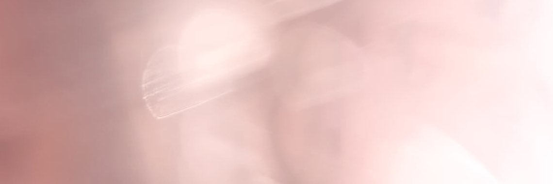 𝚐𝚘𝚐𝚞𝚖𝚊's banner