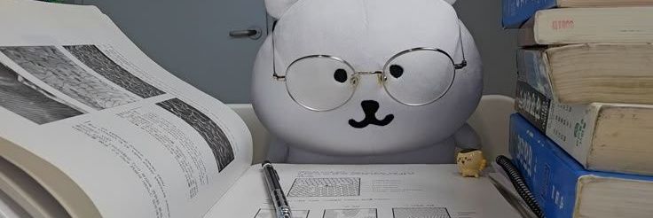 피카부 | Pikaboo's banner