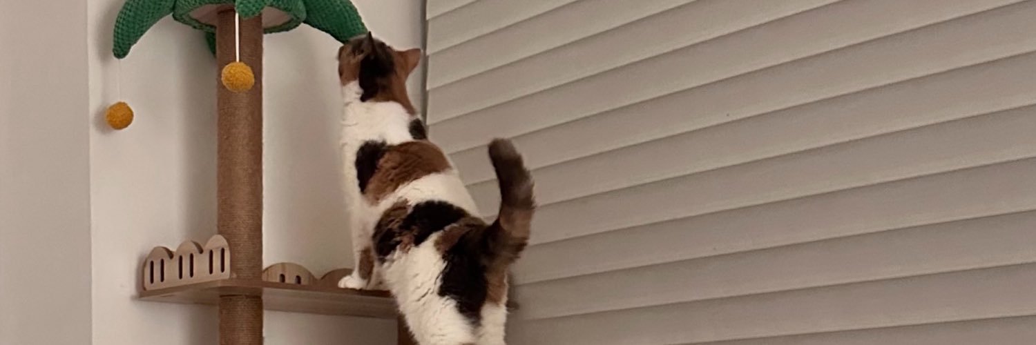 meepcat's banner