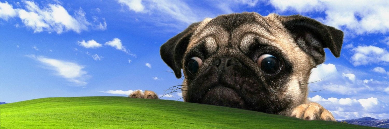 internet's banner