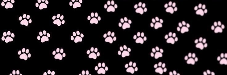 لوتس's banner