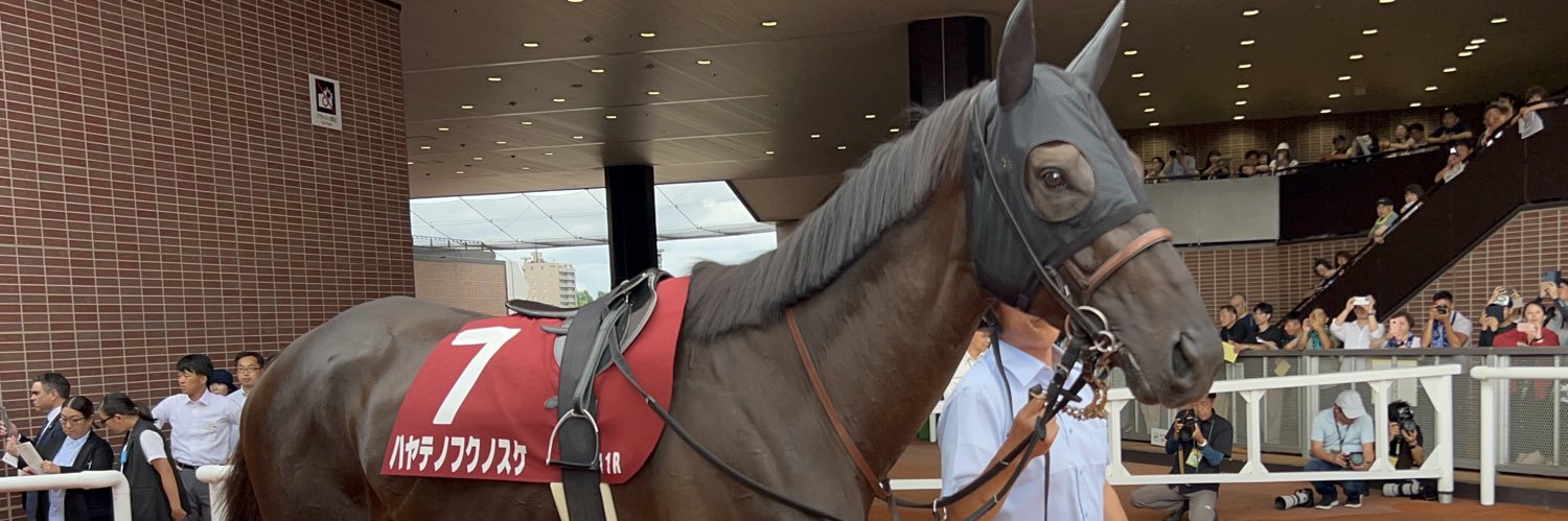 ハヤテノ情報局's banner