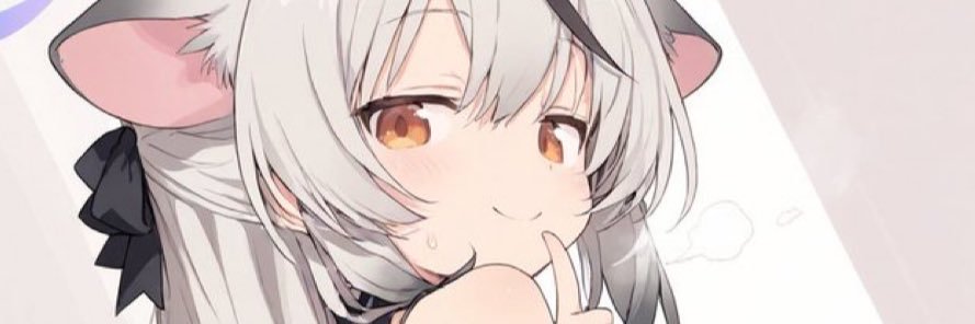胡's banner