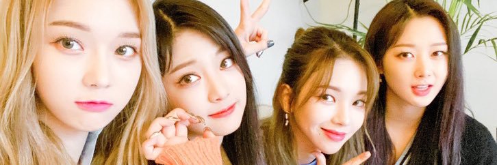 스피노's banner