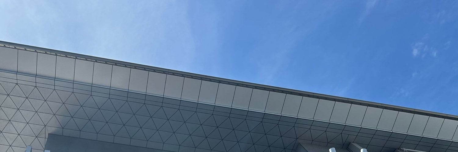 Ki's banner