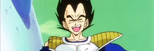 princess vegeta's banner