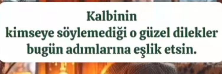 kumtanesi's banner