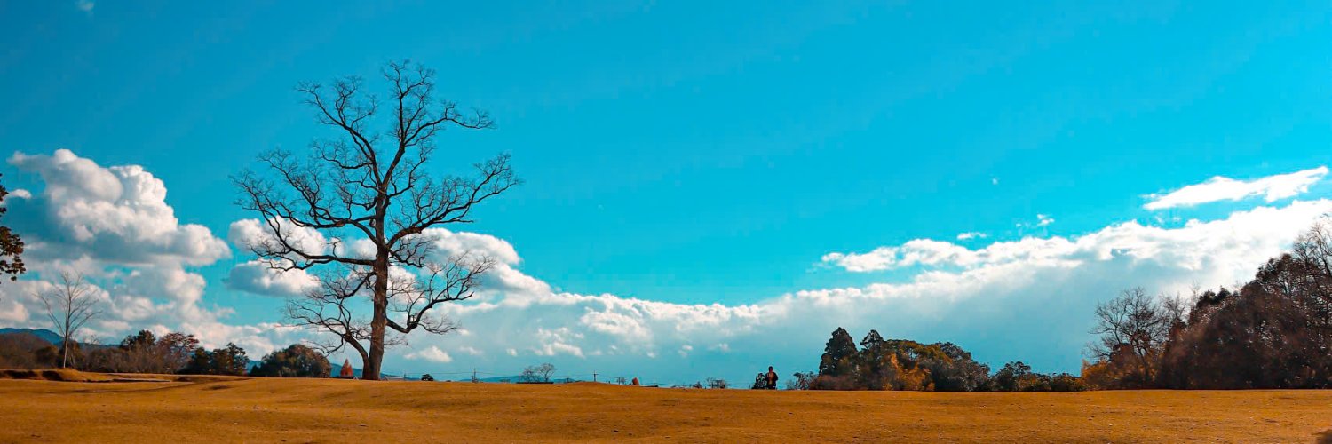 Pé Chang's banner