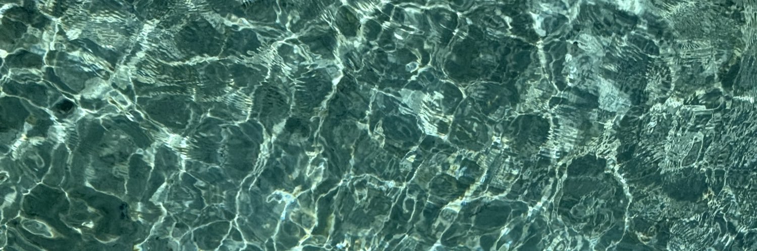 Meryl 🌺's banner