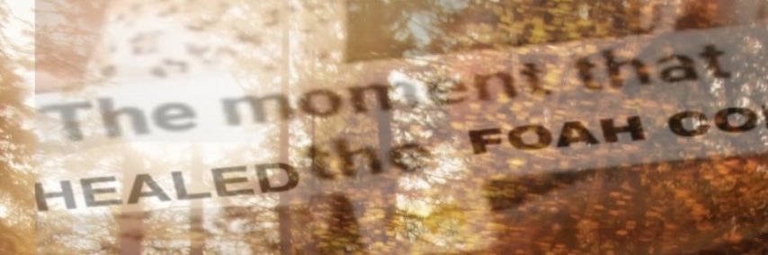 tai 🦌's banner