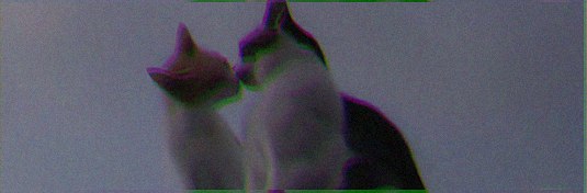 먕's banner