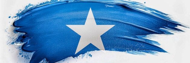 Hiba Shookari. هبة شوكري's banner