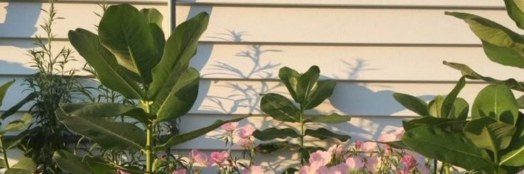 Rbnmery's banner