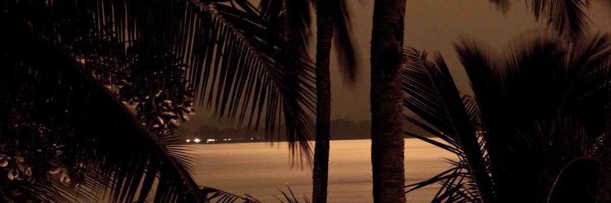 ℯ𝓁𝒶's banner