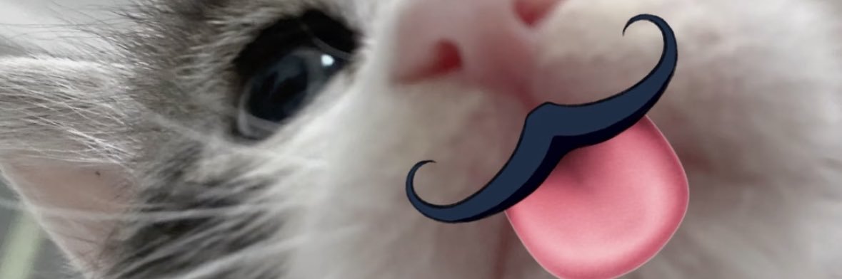 zzZ's banner