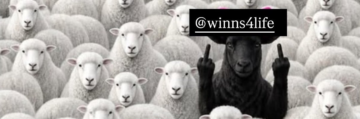 andre winns's banner