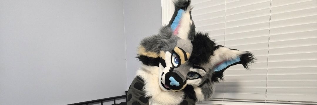 Nix Snowpaws's banner