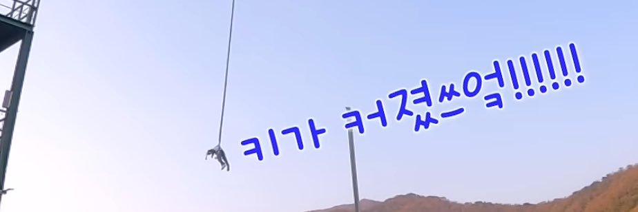 みみ's banner