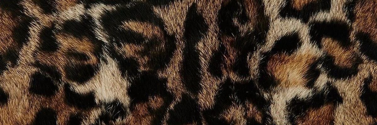 bre valentine's banner