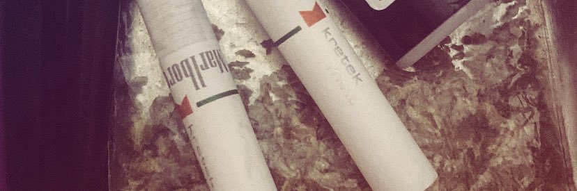 sabotaje༒︎'s banner