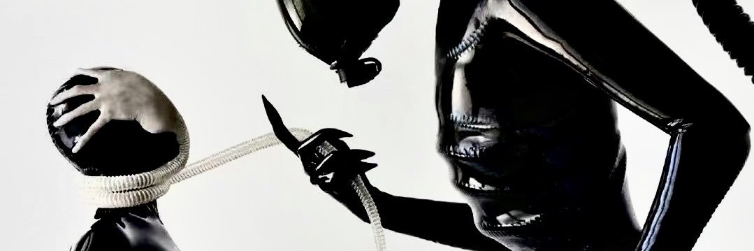 石島朗西斯's banner