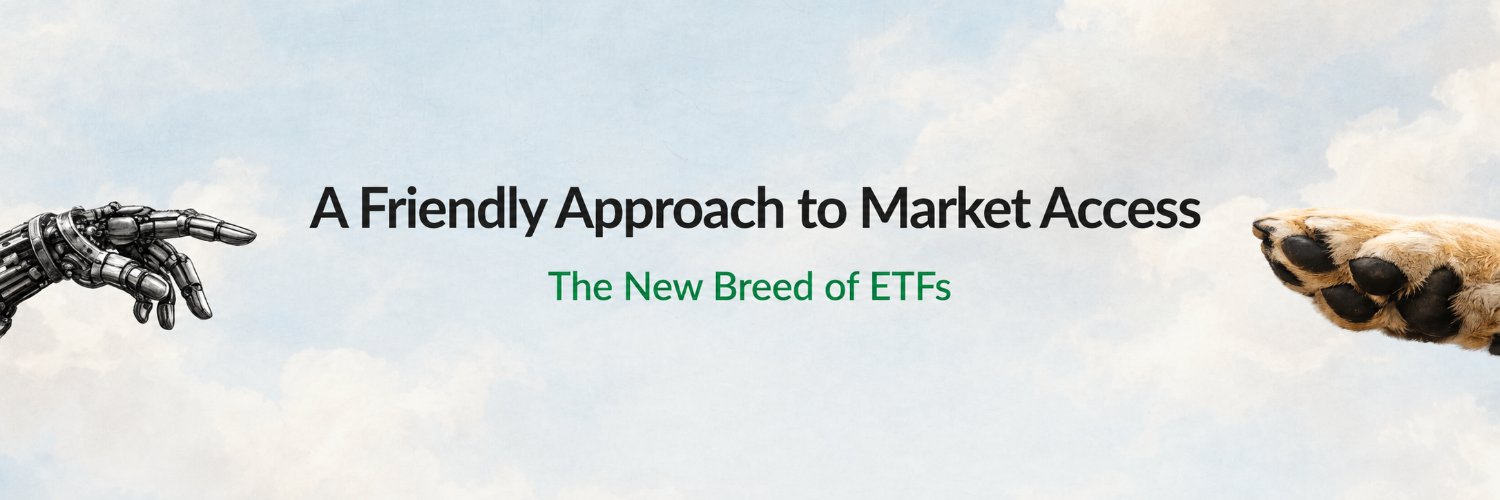 Corgi Invest's banner