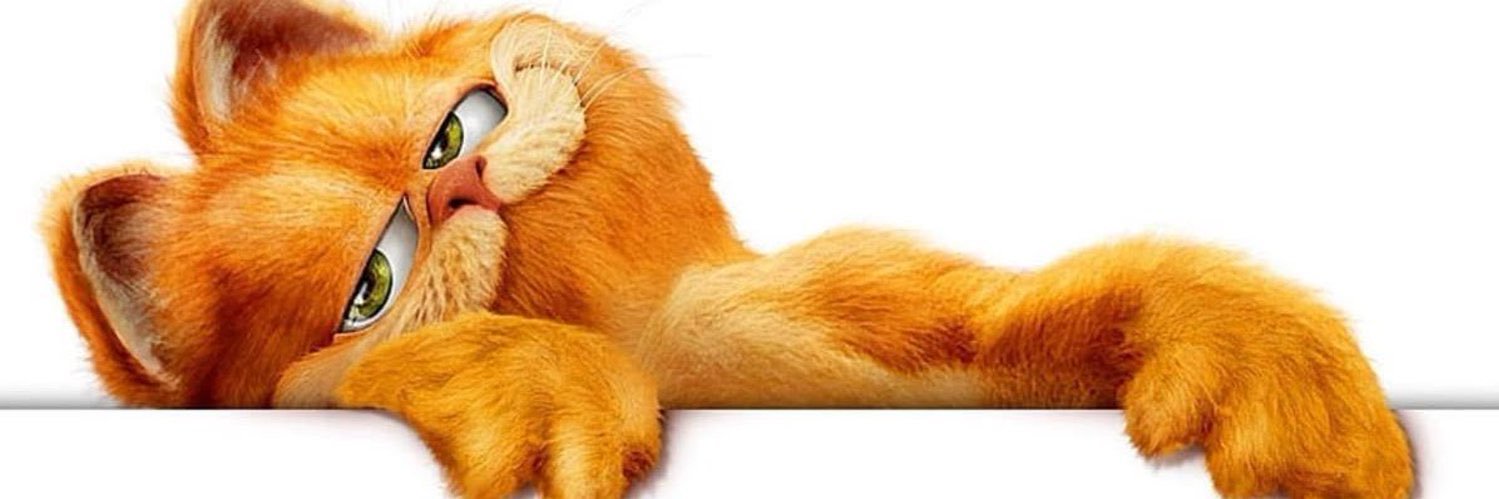 Lazy Cat's banner