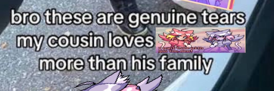 theo (john #mewtwt)'s banner