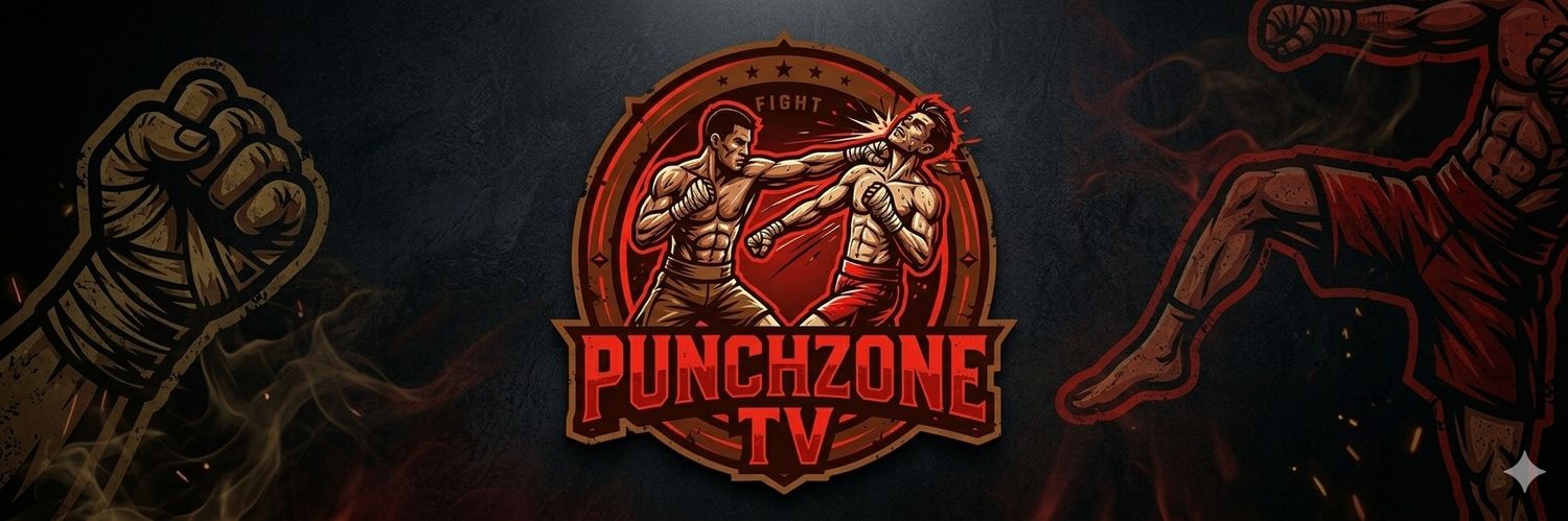 PunchzoneTv's banner